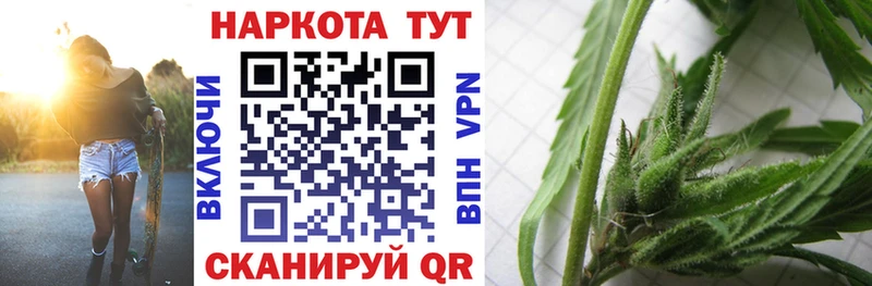 Наркотические вещества Светлогорск МЕГА ссылка  Альфа ПВП  Амфетамин  ГАШИШ  МАРИХУАНА  Меф мяу мяу  Cocaine 