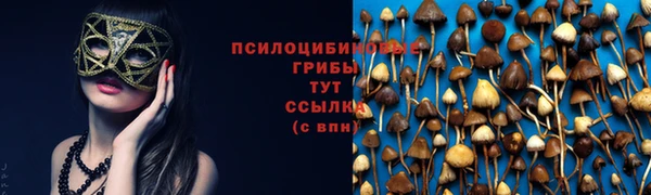 героин Пестово