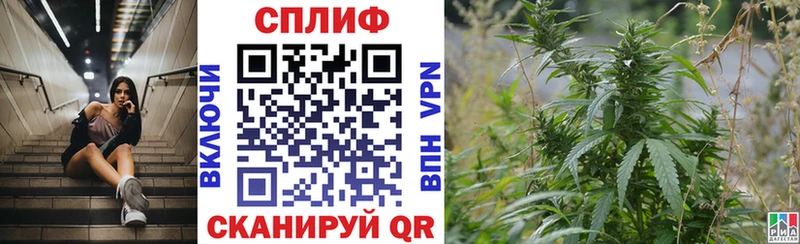 как найти наркотики  hydra онион  Каннабис гибрид  Светлогорск 